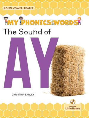 cover image of The Sound of AY